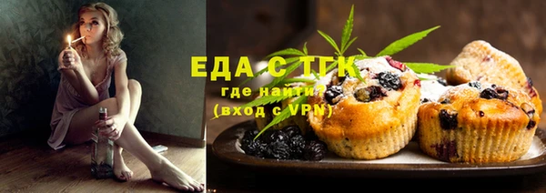 хмурый Абаза