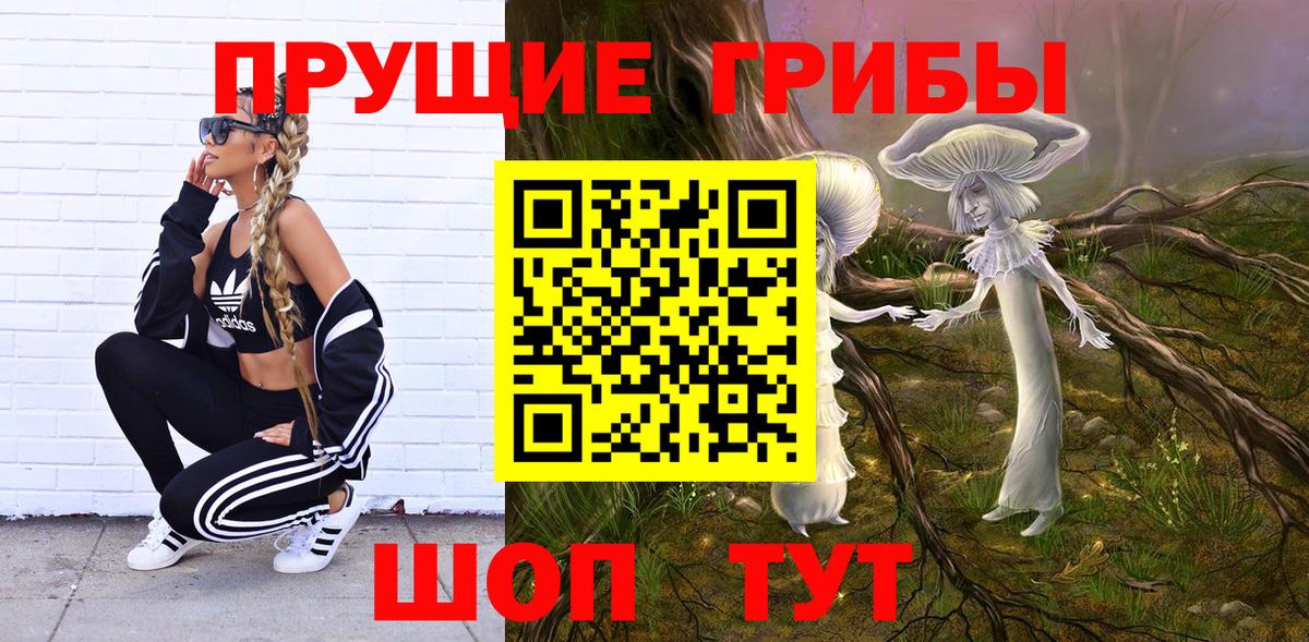 Новоалександровск  Псилоцибиновые грибы Psilocybine cubensis  Вход с VPN 